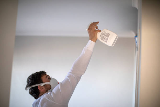 Best Emergency Mold Removal  in Succasunna, NJ